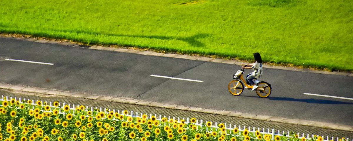 校園風(fēng)(fēng)景